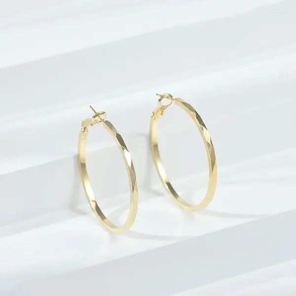 Boucles d'oreilles à clous en argent S925, aiguille, Style métal, mode, sens avancé de la personnalité, lumière exagérée, luxe Ea pour femmes