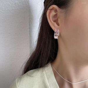 Boucles d'oreilles SHANICE 925 Sterling Silver Femme INS Style Personnalité Type C Rose CZ Cristal Diamant Romantique Cadeaux De Mariée