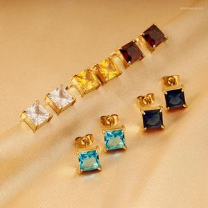 Boucles d'oreilles simples en acier inoxydable plaqué or rouge jaune, zircone cubique carrée, pierre de naissance, bijoux étanches, cadeau