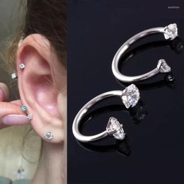 Stud -oorbellen roestvrij staal Fashion Crystal CZ Hoop Earring Women Tragus Kraakbeen studs Neus Rook Daith Piercing sieraden