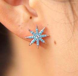 Boucles d'oreilles à clous Top qualité délicat brillant flocon de neige boucle d'oreille Micro pavé minuscule étoile de pierre bleue pour les femmes cadeaux de noël bijoux