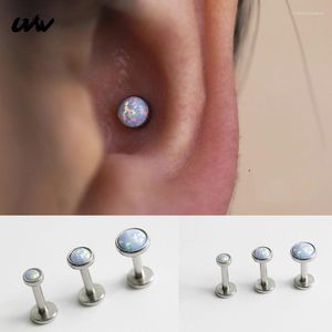 Boucles d'oreilles UVW503 1 pc 6mm mignon acier opale Cartilage goujons Lobe Tragus conque Piercing bijoux pour femmes hommes Brincos