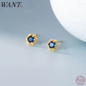 Boucles d'oreilles Wantme 925 Sterling Silver Retro Hollow Lace Blue Zircon Small For Women Fashion Corean Teen Birthday Jewelry Gift
