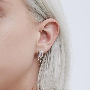 Boucles d'oreilles goutte d'eau fondant Zircon mode coréenne grand pour les femmes grandes nouveautés bijoux en gros