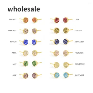 Boucles d'oreilles Femmes 10pcs Birthstone Perced Rhingestone Zirconia en acier inoxydable femme bijoux d'anniversaire en gros