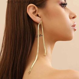 Stud IngeSight.Z Punk longue chaîne de serpent plate boucles d'oreilles pendantes pour les femmes minimaliste couleur or boucles d'oreilles pendantes bijoux légers fête YQ231211