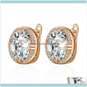 Stud Jewelrystud Trendy Oval Cubic Zirconia Perles d'oreilles pour femmes exquises