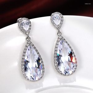 Stud luxe poire couleur argent boucles d'oreilles coréennes pour femmes anniversaire cadeau bijoux en gros E6477Stud Kirs22