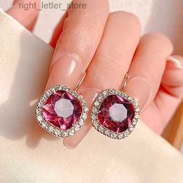 Stud New Fashion Pink Color Zircon Drop Earrings for Women Vintage Glossy Arc Bar Long Thread Tassel Bijoux Cadeaux suspendus Pendientes YQ231128