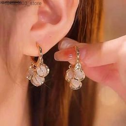 Étalon nouveau léger luxe doux jolie boucles d'oreilles exquises