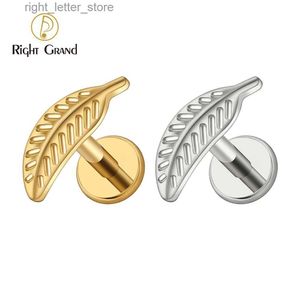 Stud Right Grand ASTM F136 Titane 16G Feuille Cartilage Stud Boucle d'oreille Plume Tragus Helix Medusa Monroe Oreille Lobe Plat Piercing Bijoux YQ231128