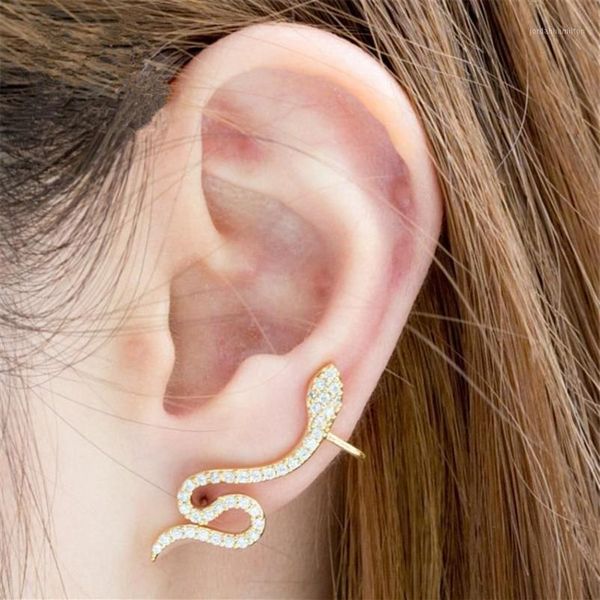 Stud Rose Gold CZ Snake Ear Jacket Boucles d'oreilles pour femmes Reptile Bijoux Animal Cristal Dainty Boucle D'oreille Femme 20211226K