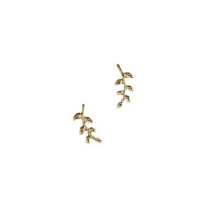 Stud Sier European Style Gold Eargingen voor vrouwen Simple Olive Branch Leaf oorrang zoete schattige studenten sieraden drop levering dhxd5
