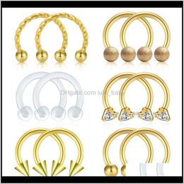 Studs Body Sieraden Drop Delivery 2021 16G Chirurgisch stalen Horseshoe Neus Septum Piercing Lipringen Lob Tragus Earring Duidelijke houder Circul