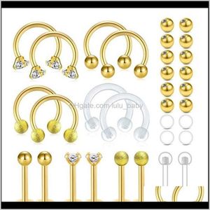 Studs Body Sieraden Drop Delivery 2021 16G Chirurgisch staal Labret Lip Nose Septum Rings Tragus Helix oorbellen Hoop CZ Ear Lobconch Piercing