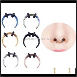 Studs Drop Levering 2021 Groothandel Stud Hoop Septum Clicker Ring Neus Clip Ringen Body Piercing Sieraden Lzmke