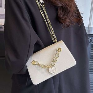 Sacs de rangement sac à main pour femmes nouvelle chaîne de mode à la mode, déplacements polyvalents, un sac à bandoulière petit sac carré