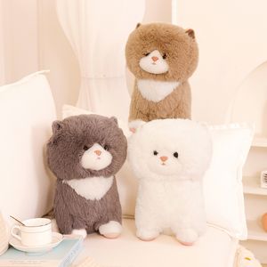 Peluche réaliste chats en peluche Kawaii American Shorthair mignon gros chat à tête poupée jouets pour animaux de compagnie décor à la maison cadeau pour les filles anniversaire