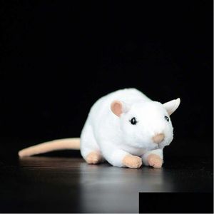 Animaux en peluche en peluche 17 cm doux mignon blanc souris simulation jouet rat belle kawaii animal mini vie réelle enfants cadeau Q0727 Drop Otuvd