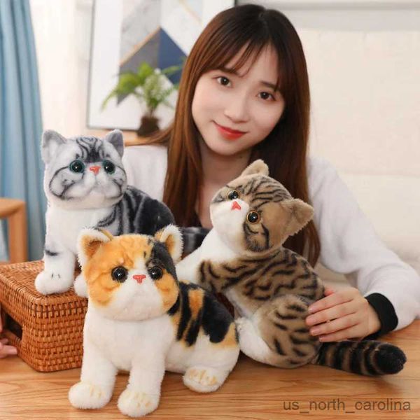 Animaux en peluche 1 pièce de 26CM, joli chat, jouet en peluche doux, poupées de chat, jouets en peluche pour enfants, décor d'anniversaire pour enfants