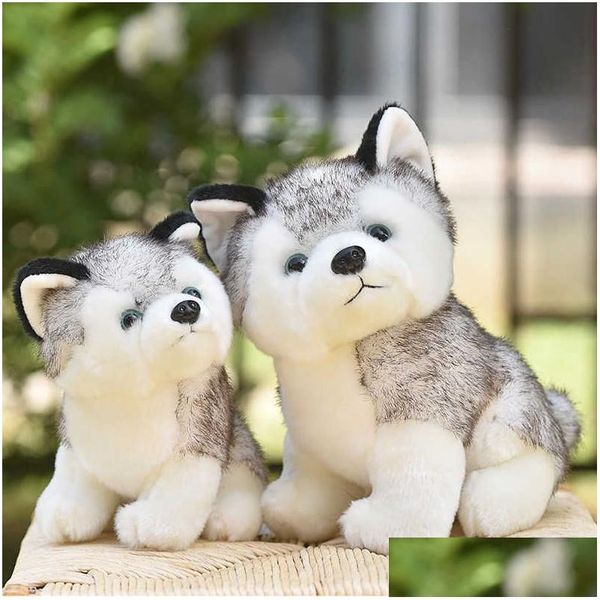 Animaux en peluche en peluche 20-30 cm mignon Husky chien jouet loup doux animal Kawaii enfants poupée moelleux cadeau d'anniversaire enfant garçon Wj131 Q0727 Ot4Ri