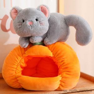 Animaux en peluche en peluche 23/30 cm CARET CAT DOG POPTION PUMPIN PET NED PLUSE Toy Declucy Decluy For Kids Birthday cadeau R230810