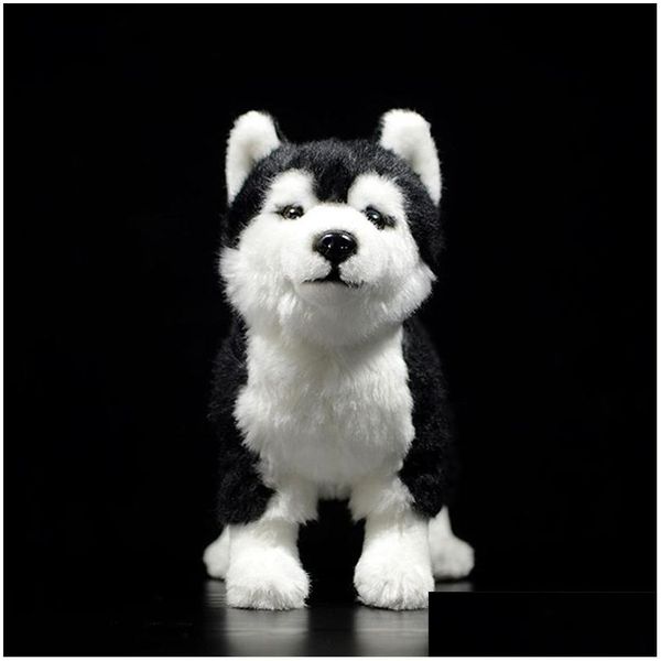 Animaux en peluche en peluche 25cm jouet de chien husky sibérien avec des yeux bruns / bleus Alaska Alaska Malamute Animal Toys Cadeaux de Noël 201212 DHFSQ