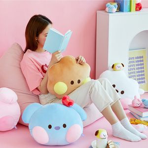 Gevulde pluche dieren 30x40cm lijn vriend Kawaii dier Kpop knuffel cartoon zacht knuffeldier pluche kussen decoratie Kerst fan cadeau 230619