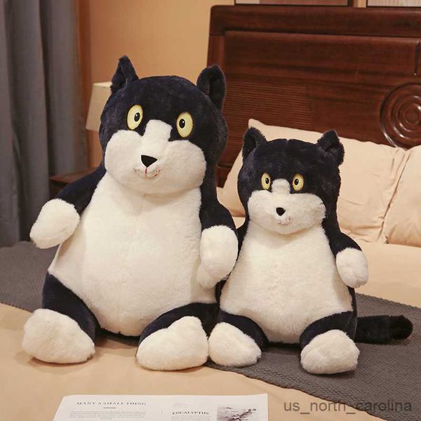 Animaux en peluche en peluche 35 cm CAT GAUS CAT SOFT PLUS PLUS ANIMAUX PROFS ANNÉLÉS ANGET SIMULATION MOGE BLAIS BLACK CAT DOLL GAD POUR LES ENFANTS R230810