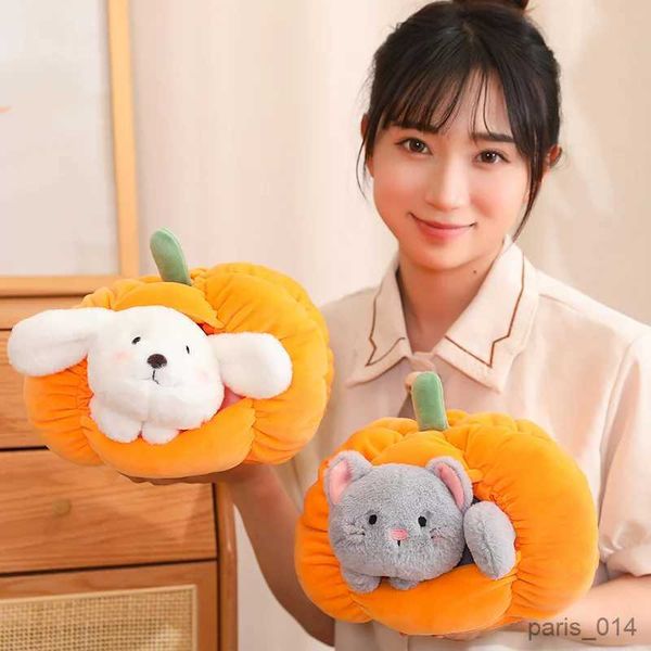 Peluche animaux en peluche, chat, chien doux, poupée confortable, maison de couchage en forme de citrouille, décoration pour animaux de compagnie, cadeau pour enfants