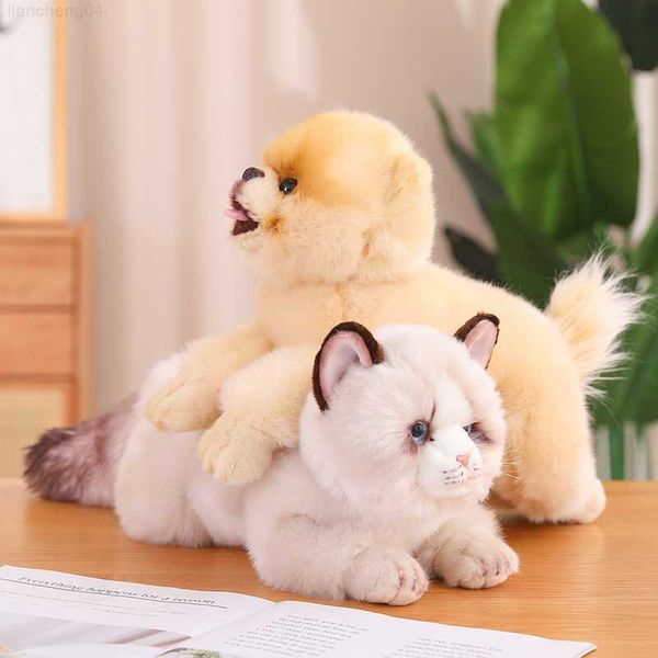 Animaux en peluche en peluche Belle simulation Chats couchés en peluche Mignon Ragdoll Poméranie Poupées en peluche Peluche Animal doux Oreiller Beau cadeau d'anniversaire pour enfant L230707