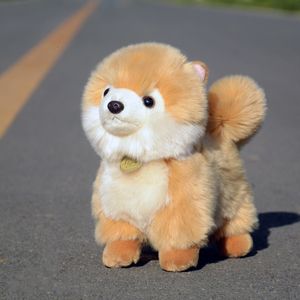 Animaux en peluche en peluche Poméranie chien poupée long manteau de soie en peluche bichondris caniche peluche mignon animaux simulés jouets intéressants 230619