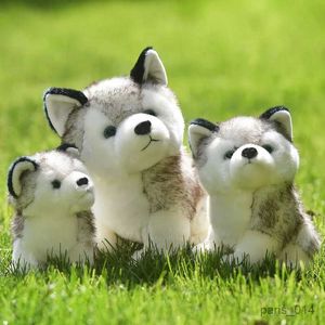 Animaux en peluche en peluche réaliste chien husky toys en peluche