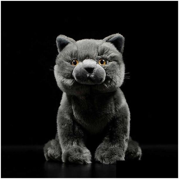 Animaux en peluche en peluche Simation mignon British Shorthair chat Tabby Felinae peluche gris chaton vraie vie Animal pour enfant année cadeau Otre7