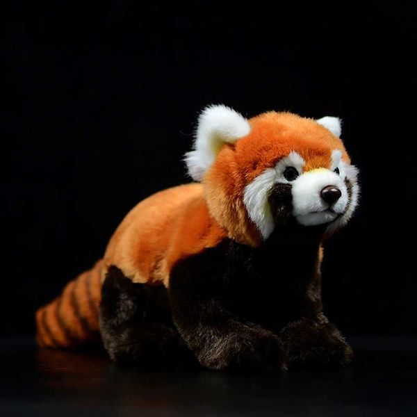 Animales de peluche de peluche Simulación Panda rojo Ailurus Fulgens Panda menor Encantadoras muñecas lindas Animales Kawaii suaves Juguetes de peluche de peluche Colección de regalos para niños L230707