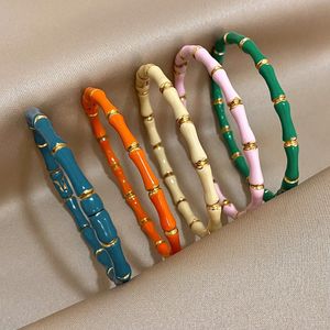 Elegante colorido brazalete de brazalete de esmalte de bambú para mujeres Minimalista 316L SCEARDO ACERADO DE ACERO GOLES Pulseras de moda Joyería 240428