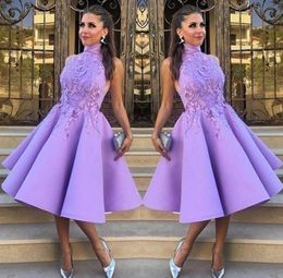 Robes de bal élégantes à col haut de gamme sexy Aline Robe de fête de mode tube avec applique 2017 Belle courte robe de soirée Homecoming8705707