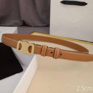 Ceintures de designer pour femmes ceintures cintura de mode pour femmes ceintures en cuir véritable de créateur or boucle lisse ceinture 2.5CM taille fine