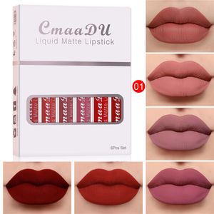 6 colores/juego de lápiz labial líquido de moda, conjuntos de brillo de labios, humectante Natural, brillos de labios de terciopelo a prueba de agua, caja de regalo de maquillaje