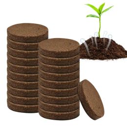 Substrat 20pcs Coconut Fibre Coir Pellet Graines du sol Starter Compression Pullet Semis Fleur plantant Soil Bloc de jardinage Supplies