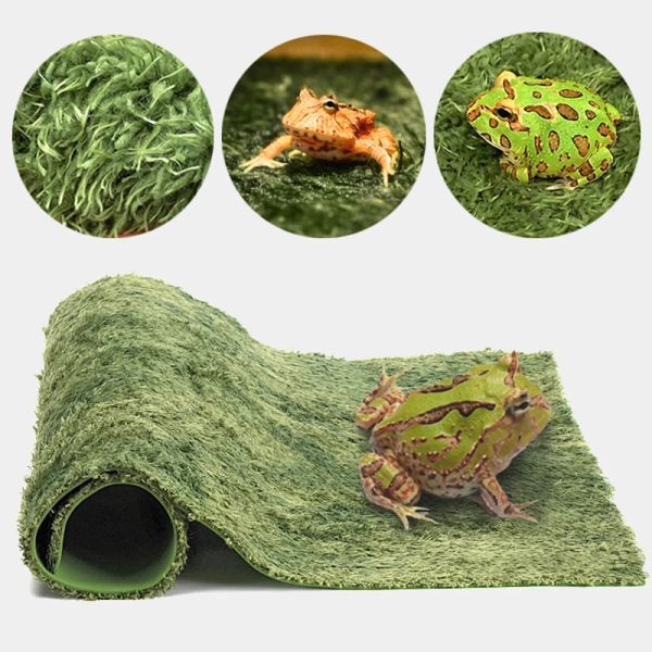 Tapis en mousse Double couche épais pour animaux de compagnie, substrat épais, coussin, grenouille, tortue, serpent, lézard, fausse pelouse hydratante