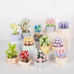 Succulent bonsaï modèle blocs Kits de construction blocs jouets garçons et filles assembler plante fleur briques Kit jouet cadeaux