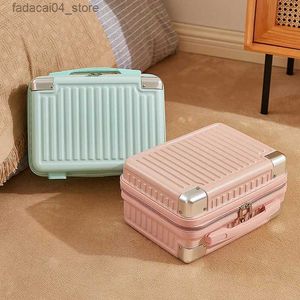 Koffers 14 inch bagagedrager Reizen draagbaar Cosmetische doos Licht instappen Professionele make-up Eenvoudige minikoffertas voor dames Q240115