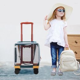 Valises bagages transparents pour enfants 14 pouces boîte à roulettes petit réseau léger célébrité Cardan valise à roulettes