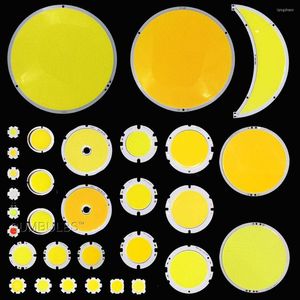 Sumbulbs DC Chip a bordo 10W 20W 30W 50W 200W fuente de luz LED COB redonda Super brillante 3000K 4000K 6000K lámpara de bombilla blanca DIY