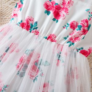 Zomer babymeisje's bloemen gaas tutu kleding 2024 nieuwe vliegende mouwen jurk prinses feestvestidos kindercasual slijtage