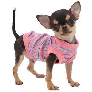 Verte de chien d'été Cat Puppy Apparel Yorkshire Terrier Pomeranian Shih Tzu Maltese Bichon Poodle schnauzer Vêtements Tshirt Pink 240412