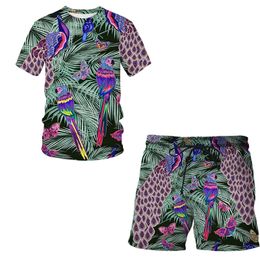 Zomer Mode mannen Sport Pak 3D Papegaai patroon Print Korte Mouwen T-Shirt/Shorts 2 Stuk Pak harajuku Straat Pak 220624