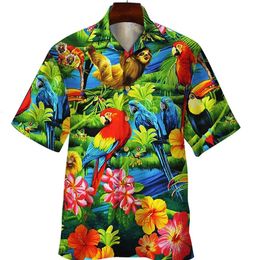 Summer Floral Parrot 3D Shirt Print Men Femmes Shirts de mode Fonds Single Brefted Shirts Hawaiian Blouse Mens Vêtements 240418