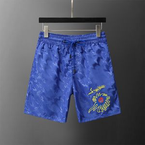 Shorts pour hommes d'été Running Designer Fashion Board Short Gym Mesh Vêtements de sport Maillot de bain à séchage rapide Imprimer Vêtements pour hommes Pantalon de plage de natation Taille asiatique M-3XL HG14